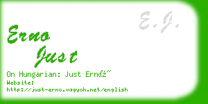 erno just business card